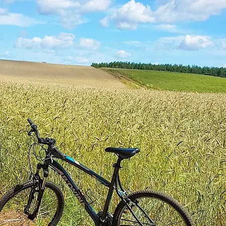 Chatki Na Kaszubach Ferienhaus Borsk