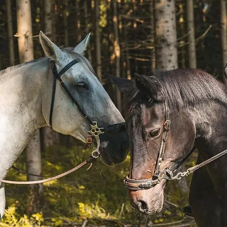 Vakantiehuis Chatki Na Kaszubach *