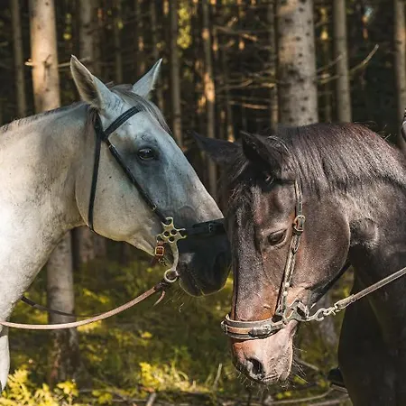 Ferienhaus Chatki Na Kaszubach *