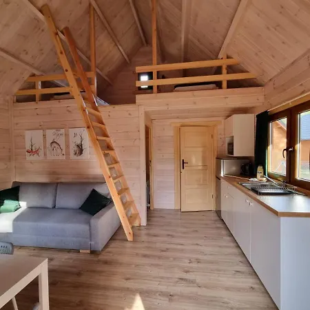 Chatki Na Kaszubach Borsk