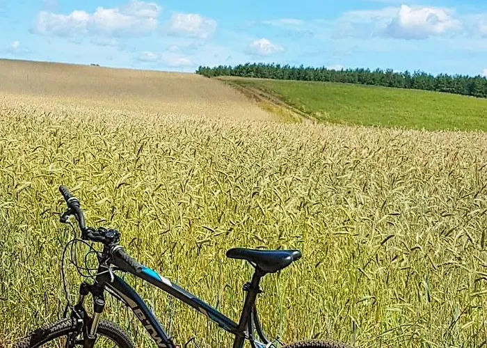 Chatki Na Kaszubach Nyaraló Borsk