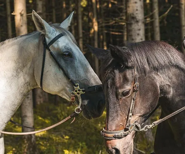 Nyaraló Chatki Na Kaszubach *