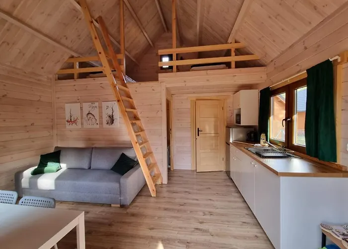 Chatki Na Kaszubach Borsk